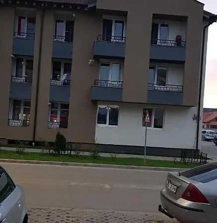 Brana Sibiu Str Nicolae Brana Nr 63 Ap 4 *