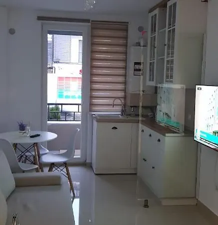 Brana Sibiu Str Nicolae Brana Nr 63 Ap 4 Apartment *